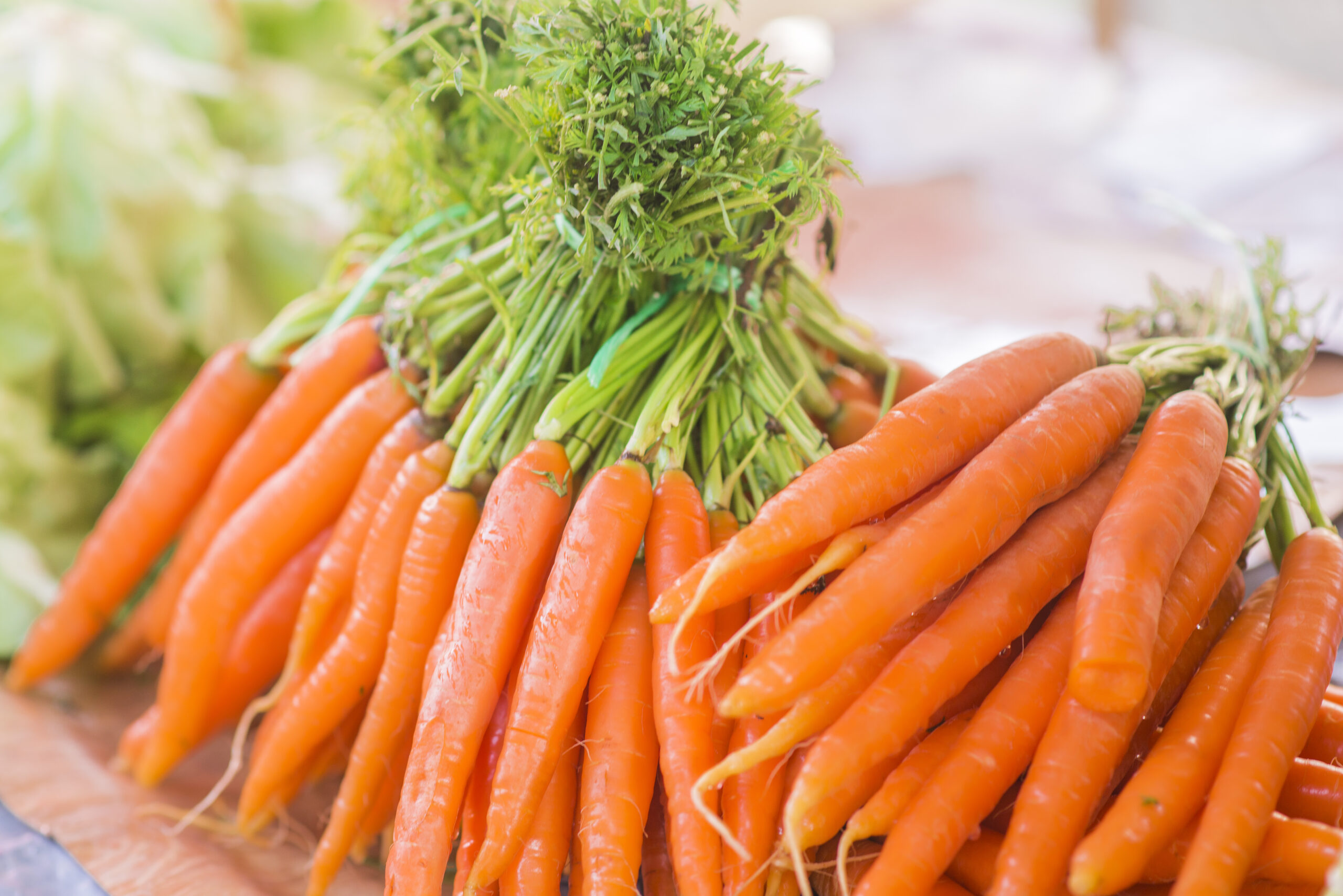 Grow Organic Carrots: Simple Steps for Home Gardening