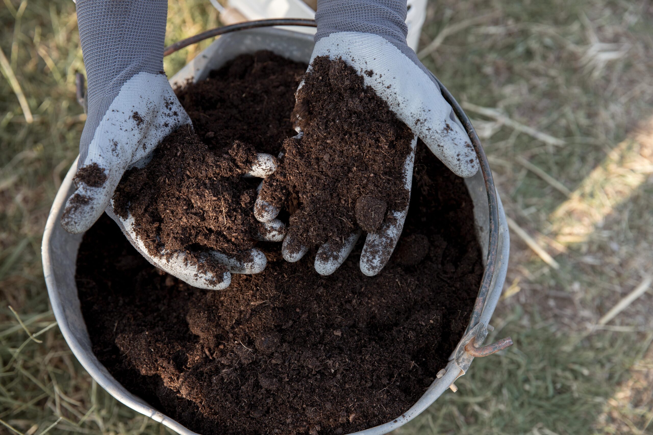 Managing Dairy Farm Waste Sustainably: Organic Solutions