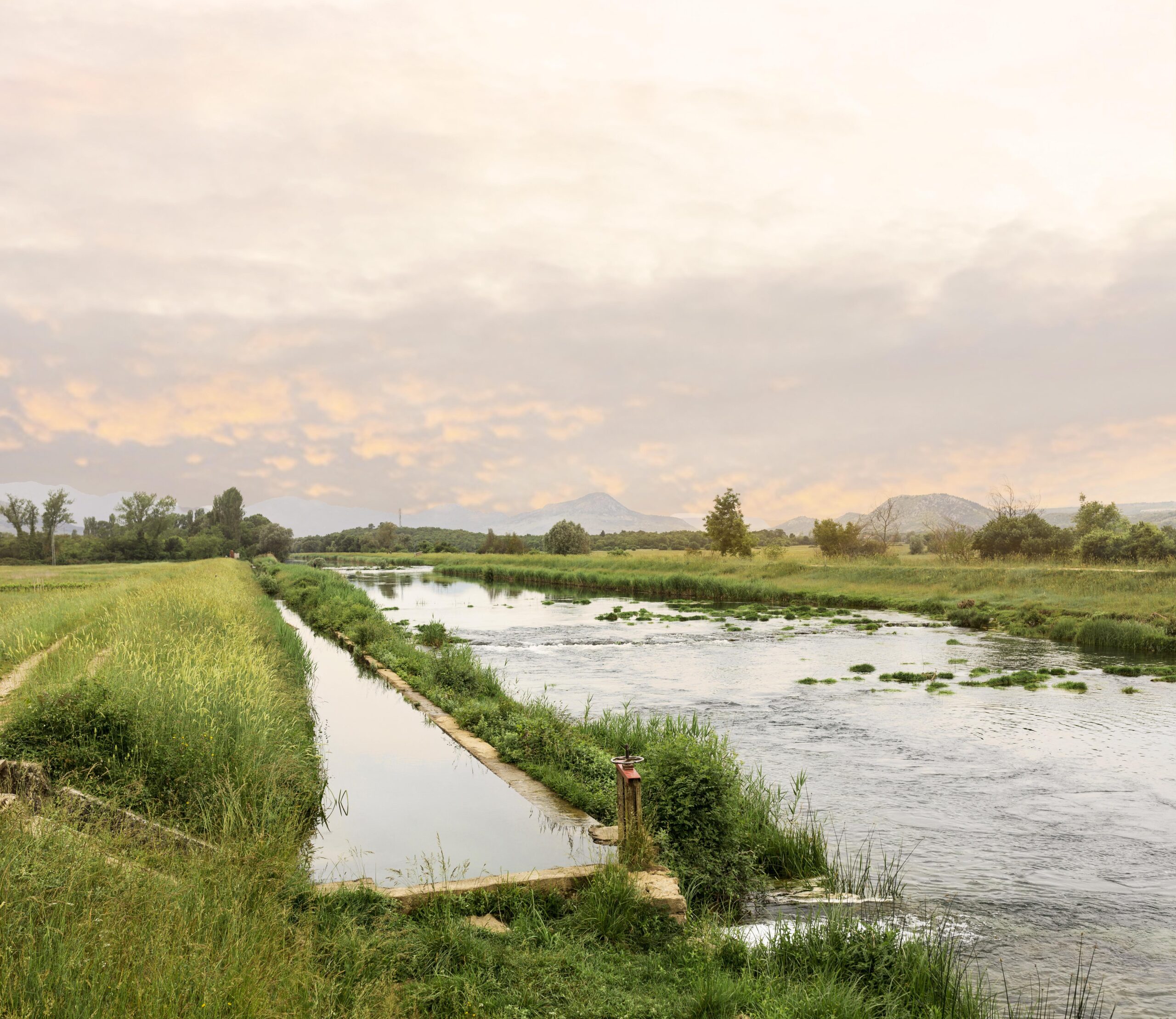 Harnessing Rainwater for Sustainable Farming